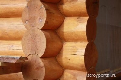 Полезные советы по уходу за деревянными домами